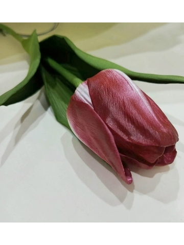 Молды пластиковые+Вайнеры силиконовые 