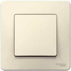 ПЕРЕКЛ.1-кл.С/У, 10А 250B, МОЛОЧНЫЙ BLNVS010602