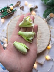Силиконовая форма 