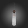 Светильник подвесной ST Luce Callana SL1145.343.01