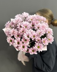 Букет из 7 кустовых хризантем сорта "Кеннеди рози"