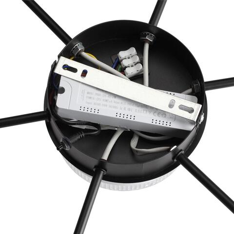 Потолочная светодиодная люстра Lumion DIDANA 8236/7CL