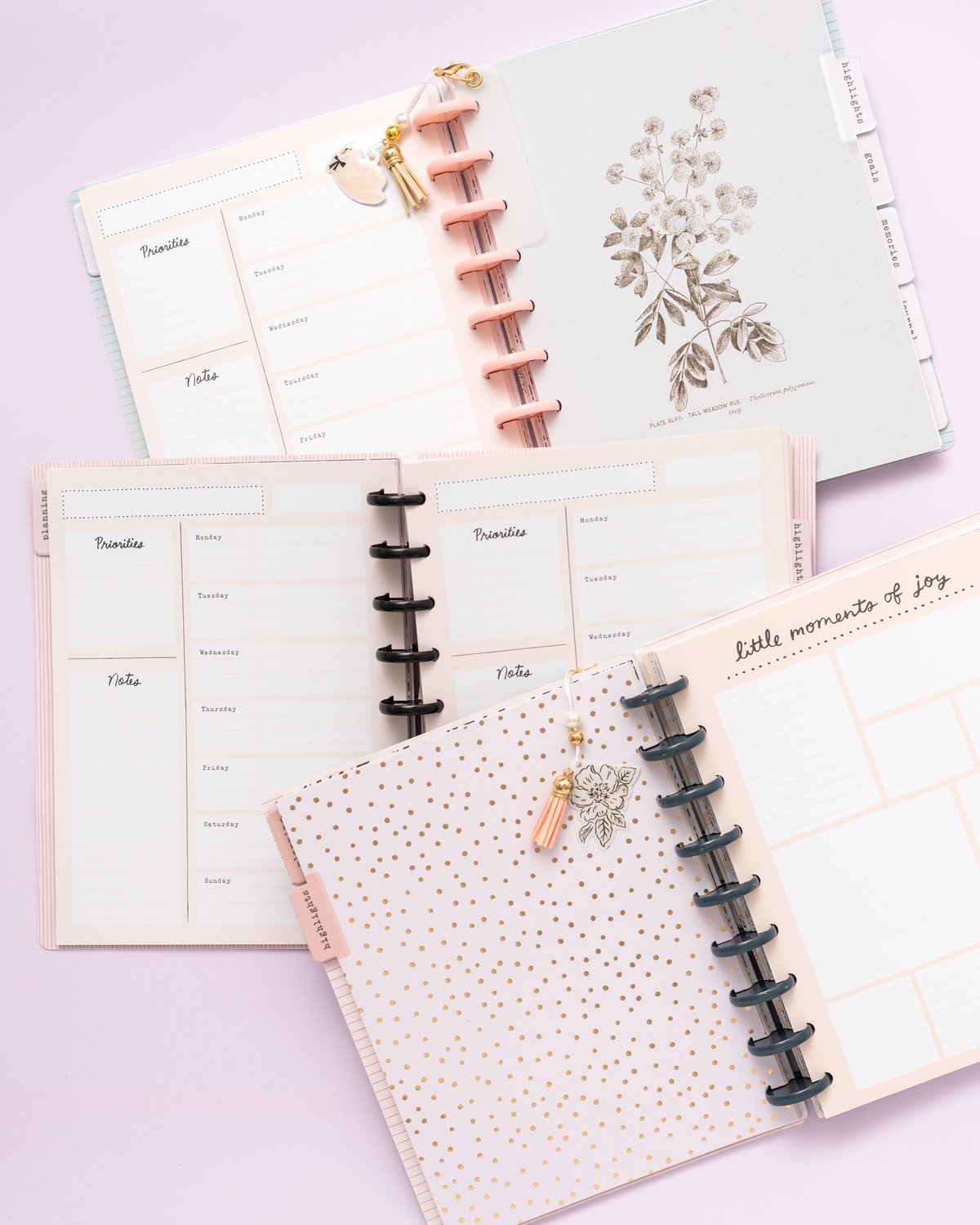 Планер на дисках, не датирован. Maggie Holmes Day-To-Day Undated Freestyle Planner 19х24 см-Black & White Floral