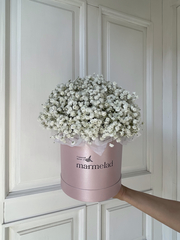 Композиция в коробке с белой гипсофилой