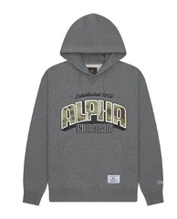 Толстовка Alpha Industries Alpha Camo Logo Hoodie Medium Charcoal Heather (Серый)