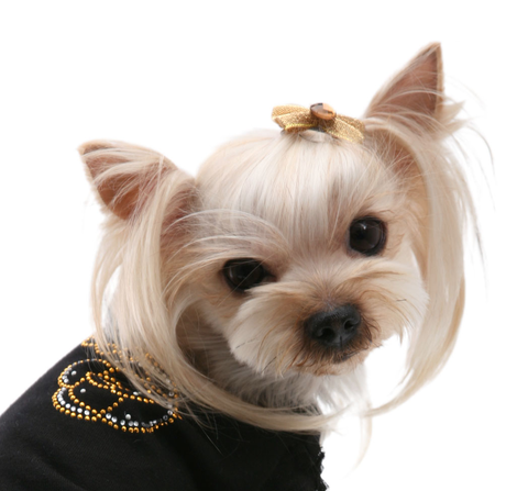 317 Заколка "Сверкание" Puppy Angel