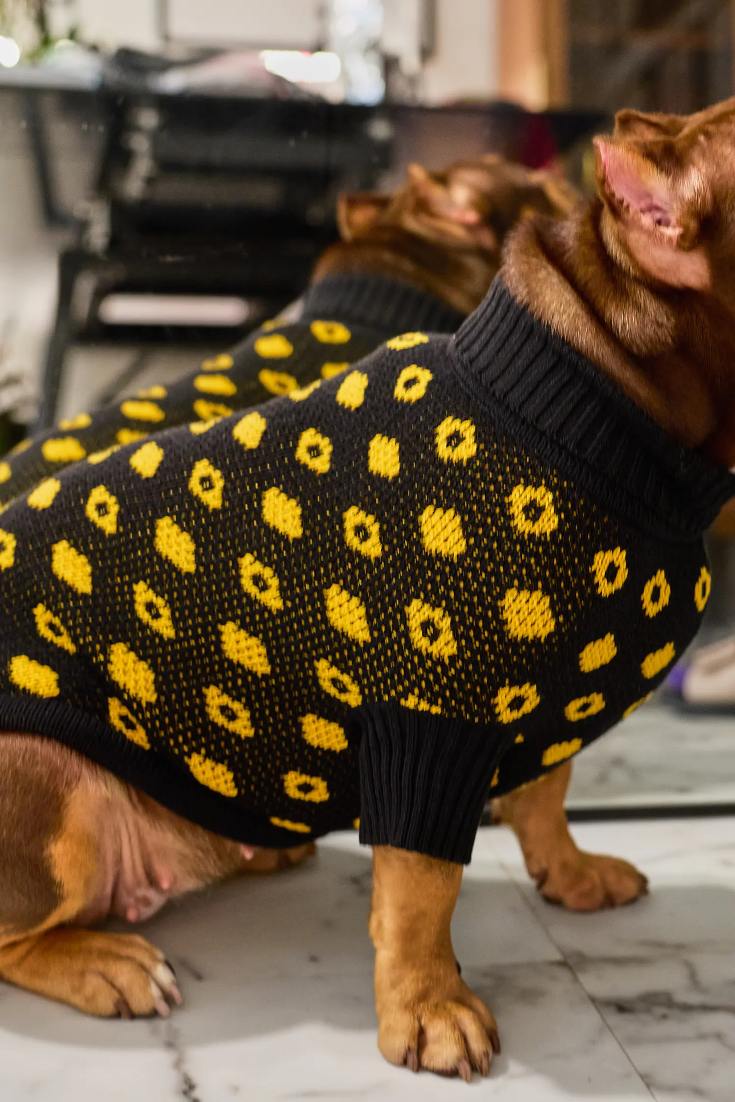 Кофточка для собачки «Свой узор»