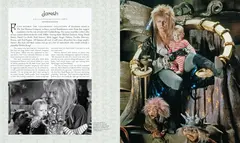 Labyrinth The Ultimate Visual History (На Английском языке)