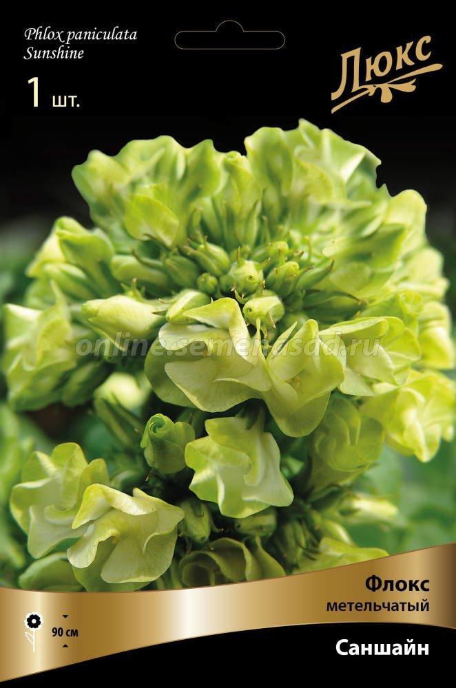 Вероника Саншайн Купить Семена