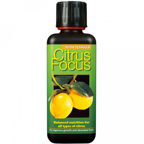 Citrus Focus 300мл