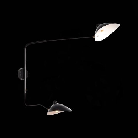 Светильник настенный ST Luce Spruzzo SL305.401.02