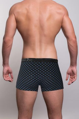 Мужские трусы 1001 Black Salvador Dali