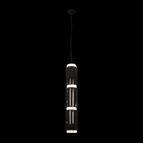 Подвесной светодиодный светильник Loft It Noctambule 10194/L