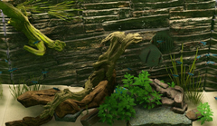 Biotope (для ПК, цифровой код доступа)