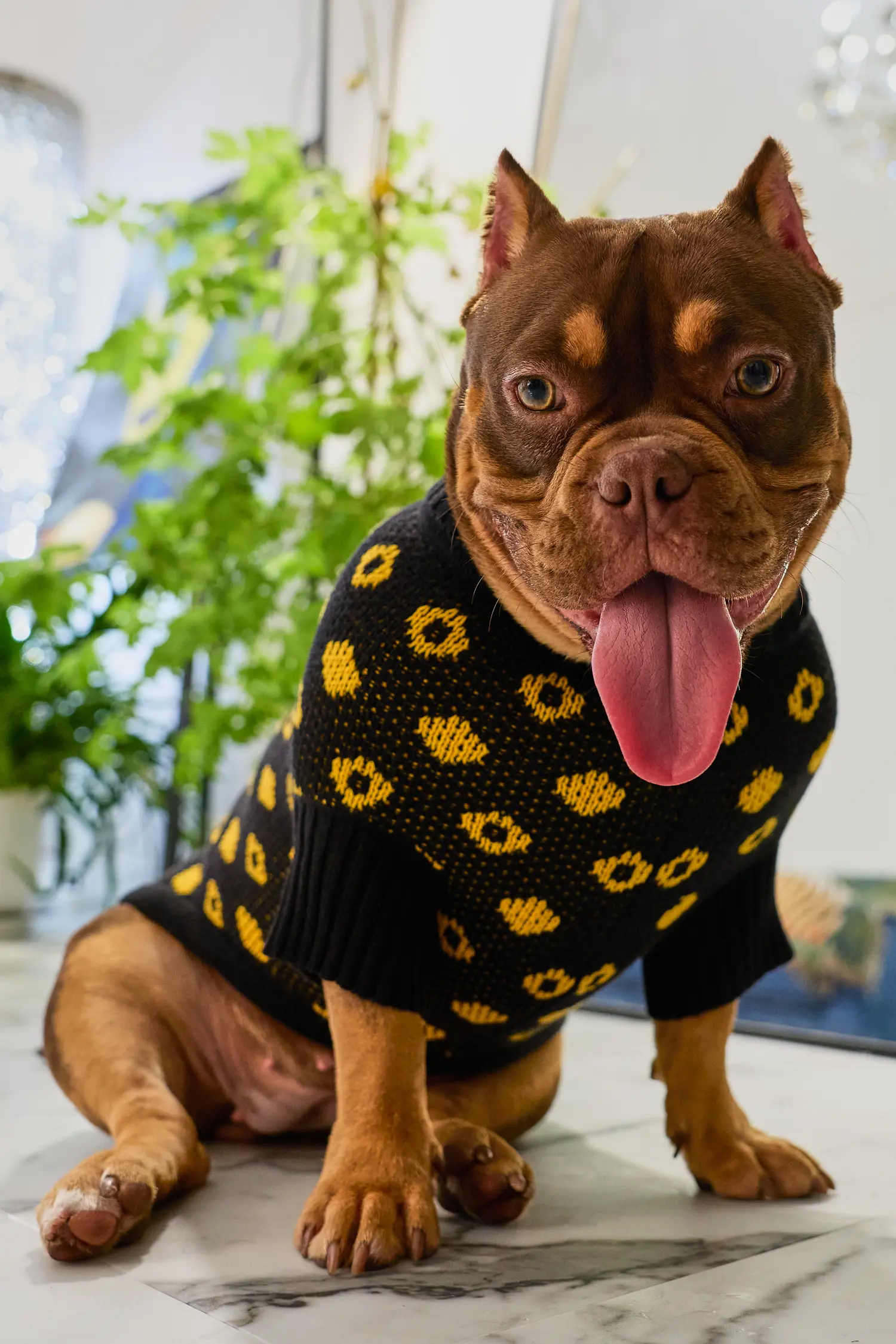 Кофточка для собачки «Свой узор»