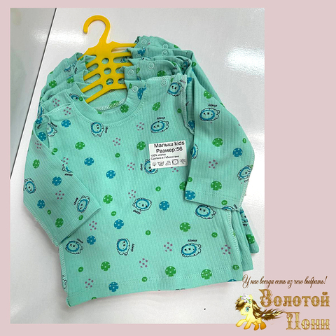 Джемпер хлопок/рубчик (56-80) 251204-W2214