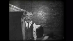 Cat Detective Albert Wilde (для ПК, цифровой код доступа)