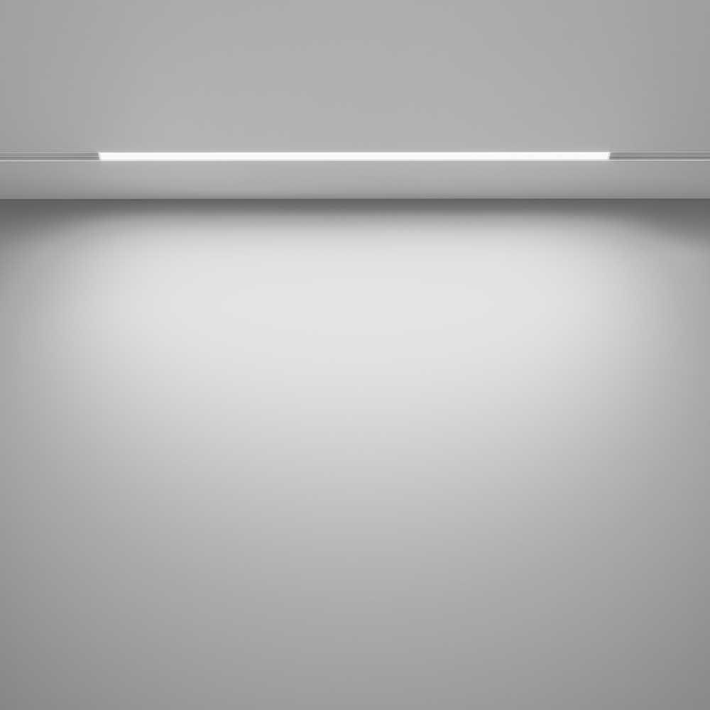 Трековый светодиодный светильник Maytoni Technical Exility Basis TR030-4-24WTW-DD-W
