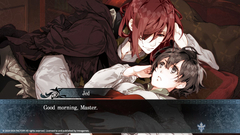 Psychedelica of the Ashen Hawk (для ПК, цифровой код доступа)