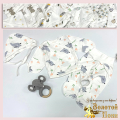 Комплект 3 пред новорожденным (0-3) 241007-NV4342