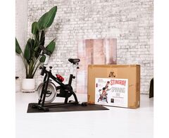 Спин-байк DFC STINGRAY