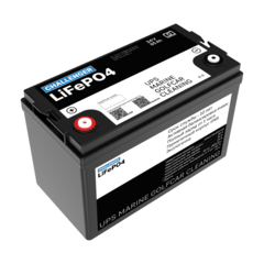 Аккумулятор Challenger LFP 24-65 (LiFePO4)