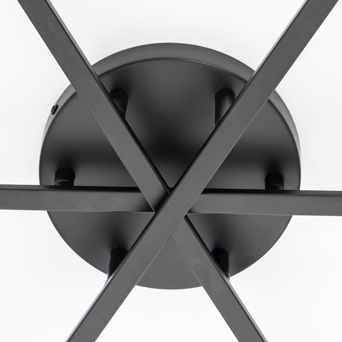 Потолочная люстра Citilux GLOB CL209291