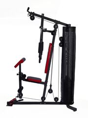 Многофункциональный спортивный комплекс Atemi AGS3100