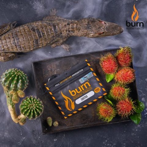 Tabak Burn Cactus (Kaktus) 100g