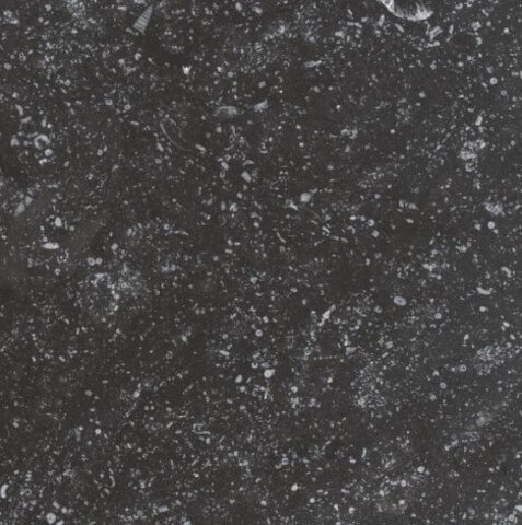 Equipe Coralstone Black 20x20