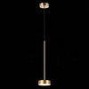 Светильник подвесной ST Luce Pances SL6000.303.01