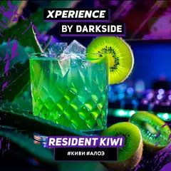 XPERIENCE BY DARKSIDE 30гр. RESIDENT KIWI Киви/Алоэ