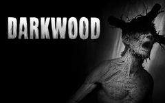Darkwood (для ПК, цифровой код доступа)