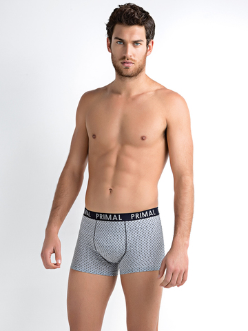 Мужские трусы B231 Boxer Primal