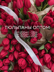 ОПТ тюльпан - классика КРАСНЫЙ