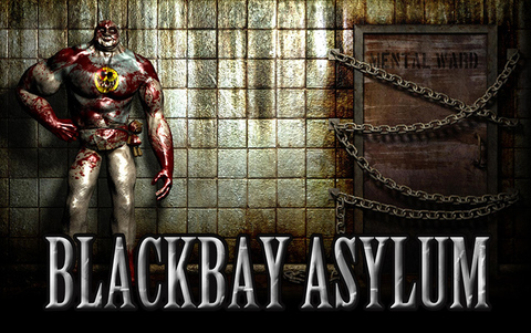 Blackbay Asylum (для ПК, цифровой код доступа)