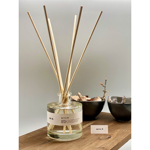 Диффузор ароматический 100мл Ambientair Lab Co Мирт