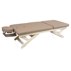 Массажный стационарный стол Mizomed Boast-Tilt SBT1S30