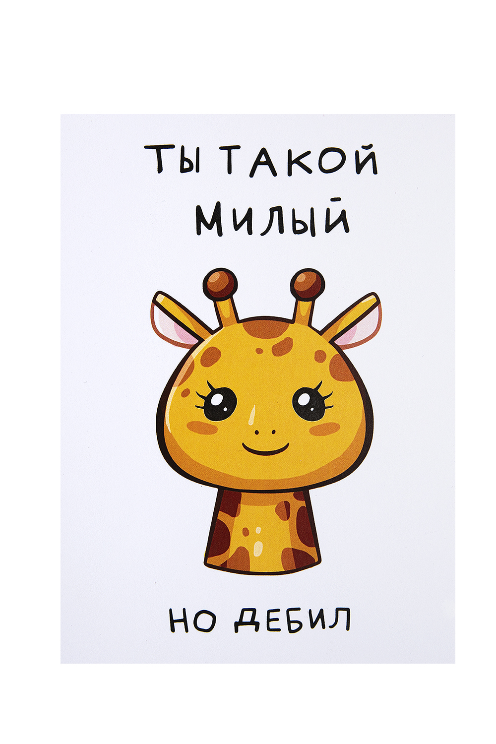 Конверты для денег купить оптом в Минске, цена на открытки для денег