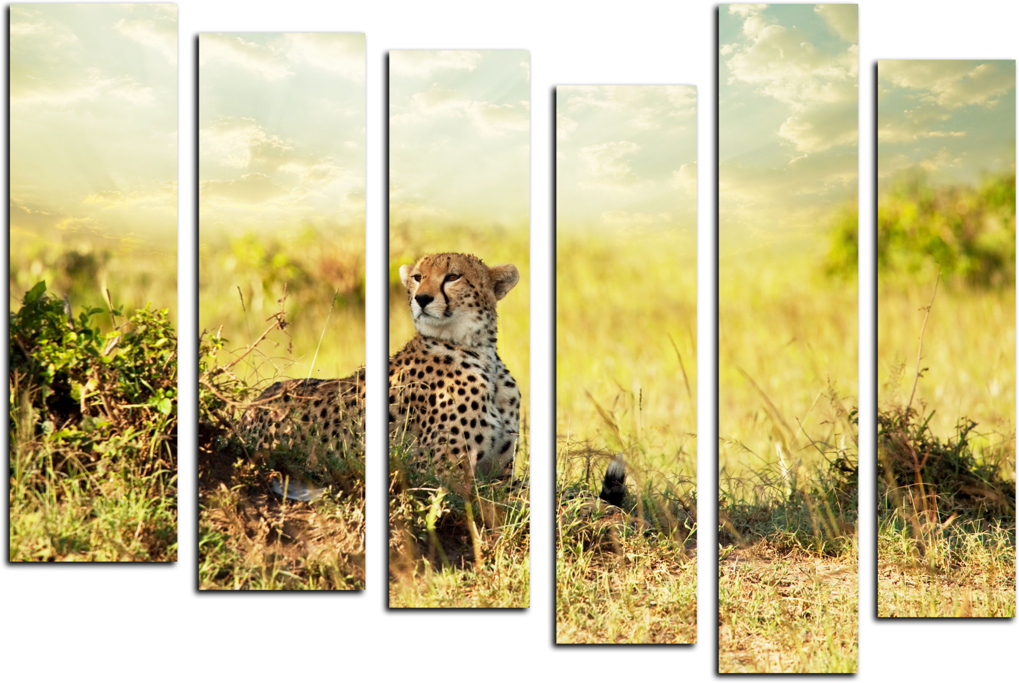 Природа Модульная картина "Задумчивый гепард" М439.png