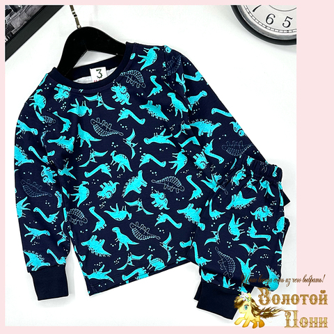 Пижама хлопок мальчику (3-7) 250928-D7025