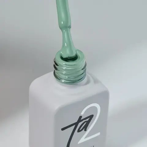 Гель-лак Ta2 / цветной гель-лак №100