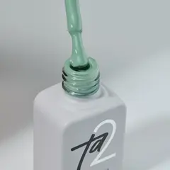 Гель-лак Ta2 / цветной гель-лак №100