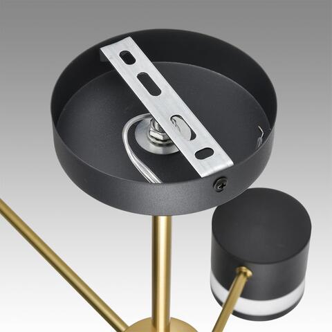 Потолочная люстра Lumion LANIKA 8240/6C