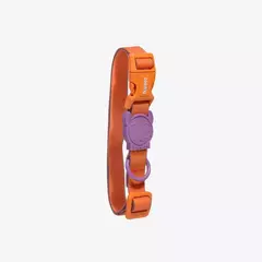 Ошейник NEOPRO IRIS Zee.Dog