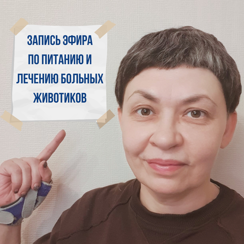 Запись эфира по питанию и лечению больных животиков