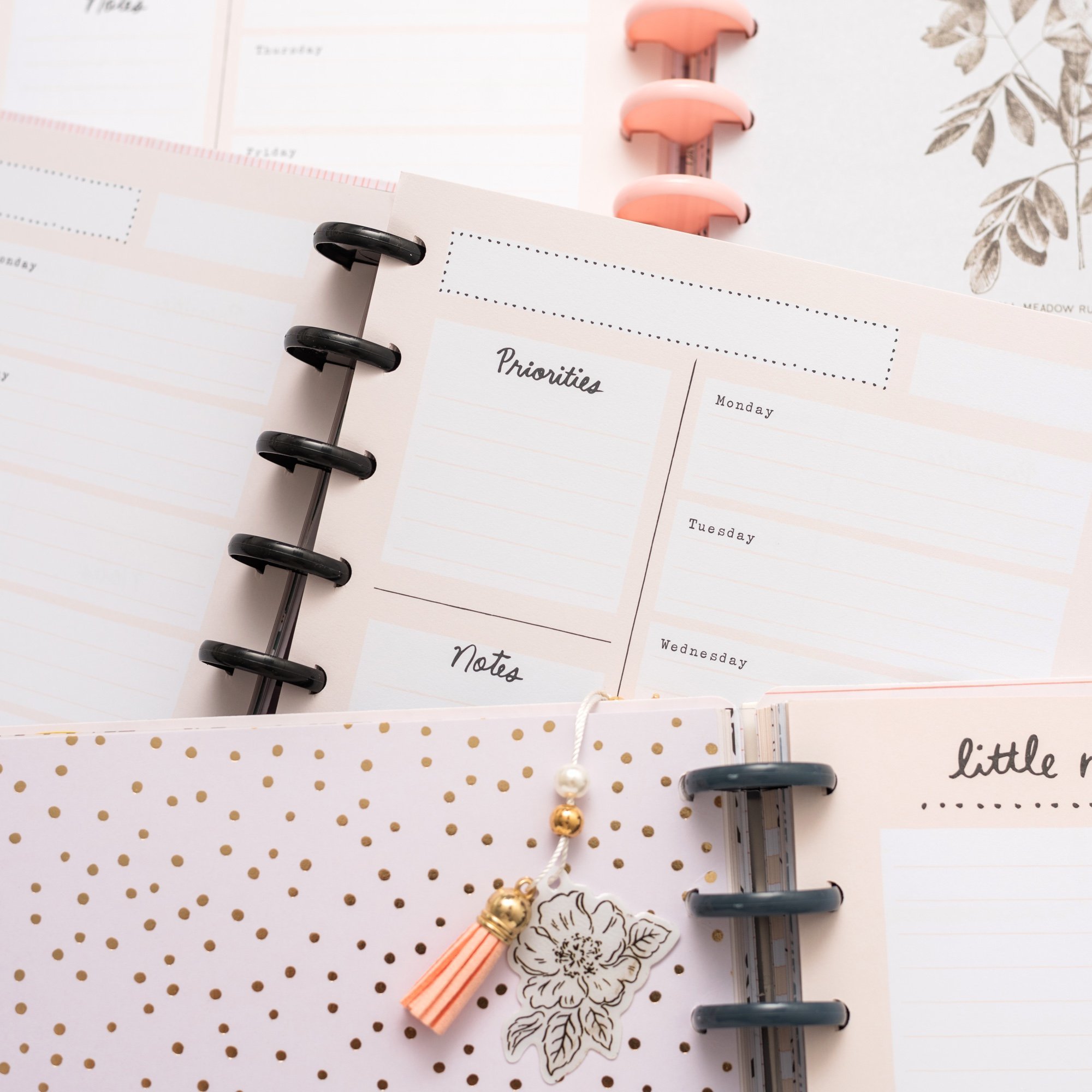 Планер на дисках, не датирован. Maggie Holmes Day-To-Day Undated Freestyle Planner 19х24 см-Black & White Floral