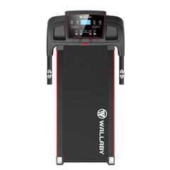 Беговая дорожка для дома электрическая Wallaby TM300