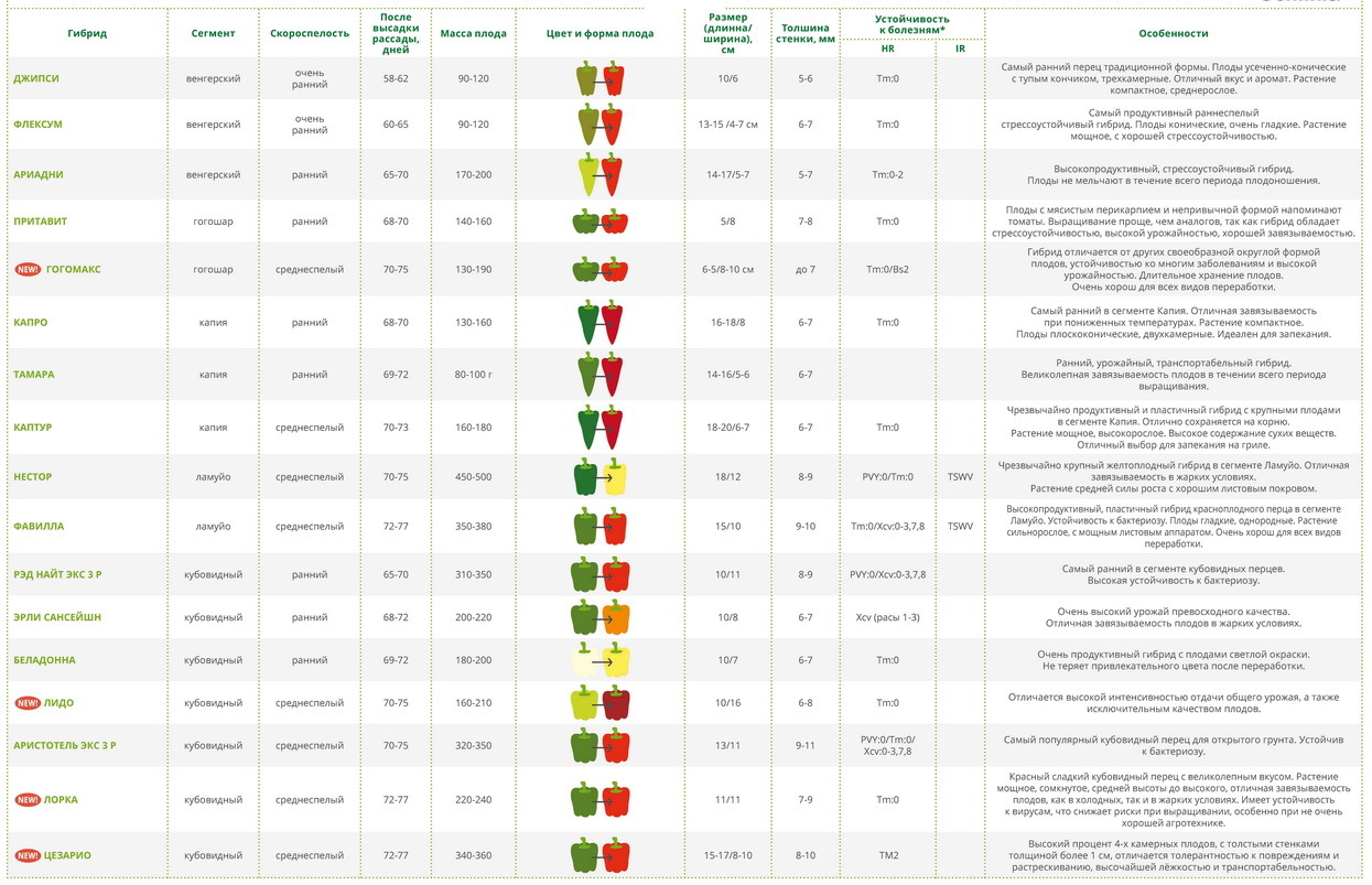 Перец каптур описание сорта фото