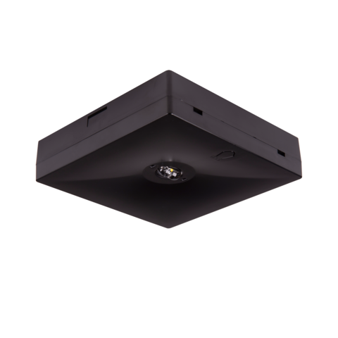 Потолочные квадратные черные светодиодные светильники аварийного освещения с оптикой для коридоров Starlet Quad LED Black – внешний вид